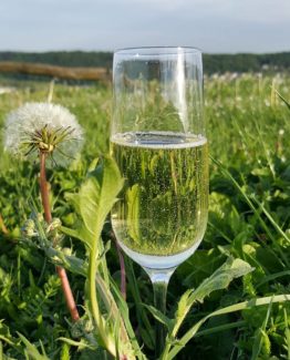 31381313_810599722472156_8515008097247297536_n Winzer Sekt