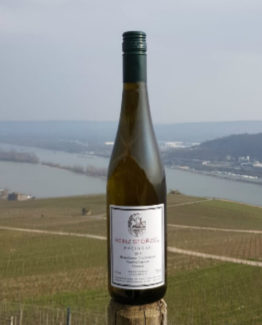 Riesling_feinherb Eine Flasche Riesling Kabinett feinherb. Im HIntergrung der Rhein und Rüdesheim am Rhein