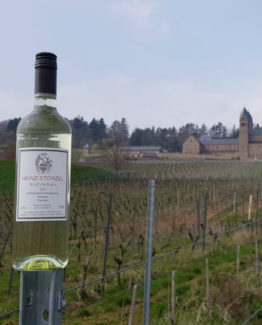 Silvaner Klosterberg Silvaner
