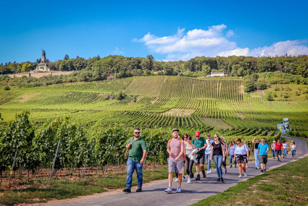 Weinwanderung: Wein & Wandern - Jetzt Buchen!