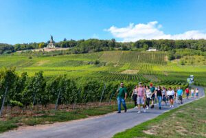 Gruppe mit Winzer Martin Störzel während der Weinwanderung durhc die Weinberge von Rüdesheim am Rhein